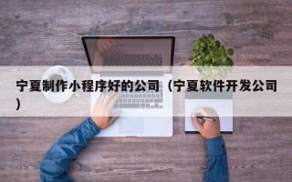 南阳宁夏制作小程序好的公司（宁夏软件开发公司）
