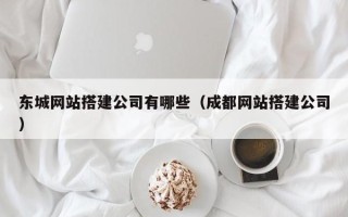南阳东城网站搭建公司有哪些（成都网站搭建公司）